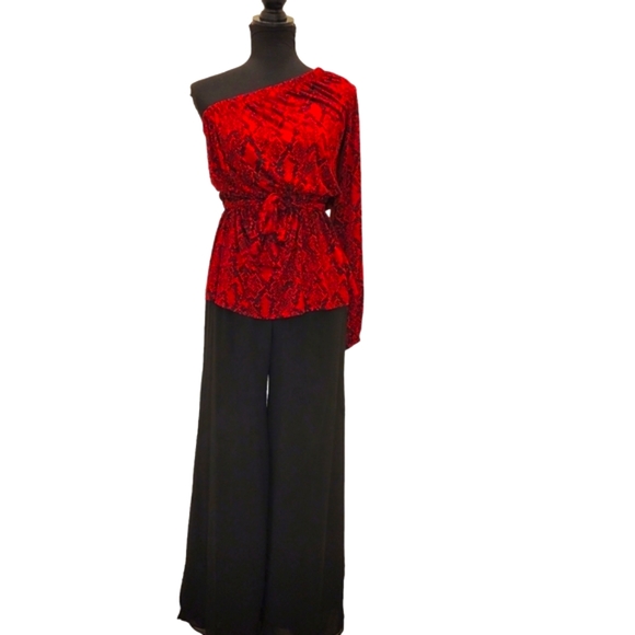Dana Kay Sheer Palazzo Wide Leg Pants with Lining and Side Slits - Picture 5 of 12